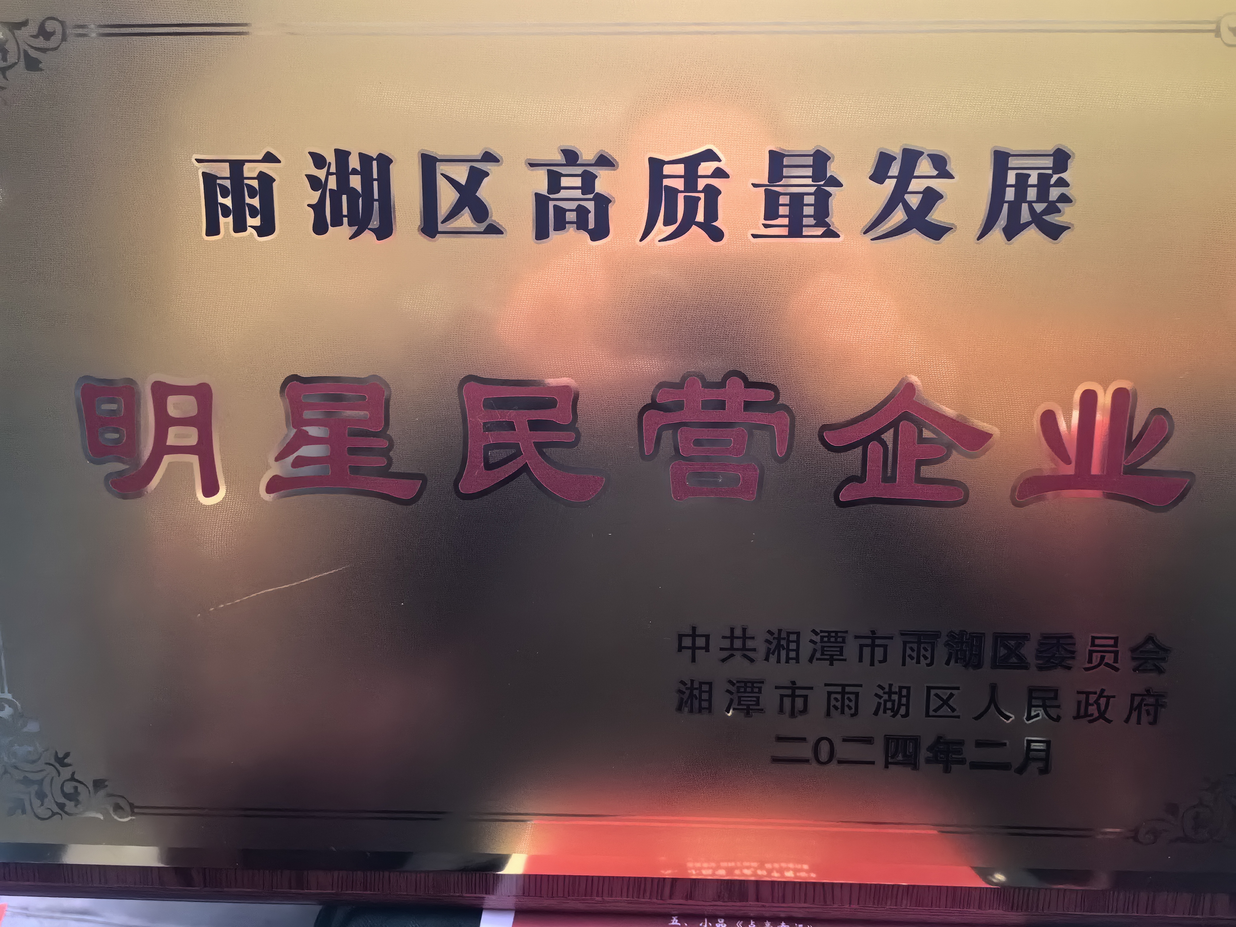 同乐城官方网页版荣获“雨湖区高质量发展明星民营企业”称号